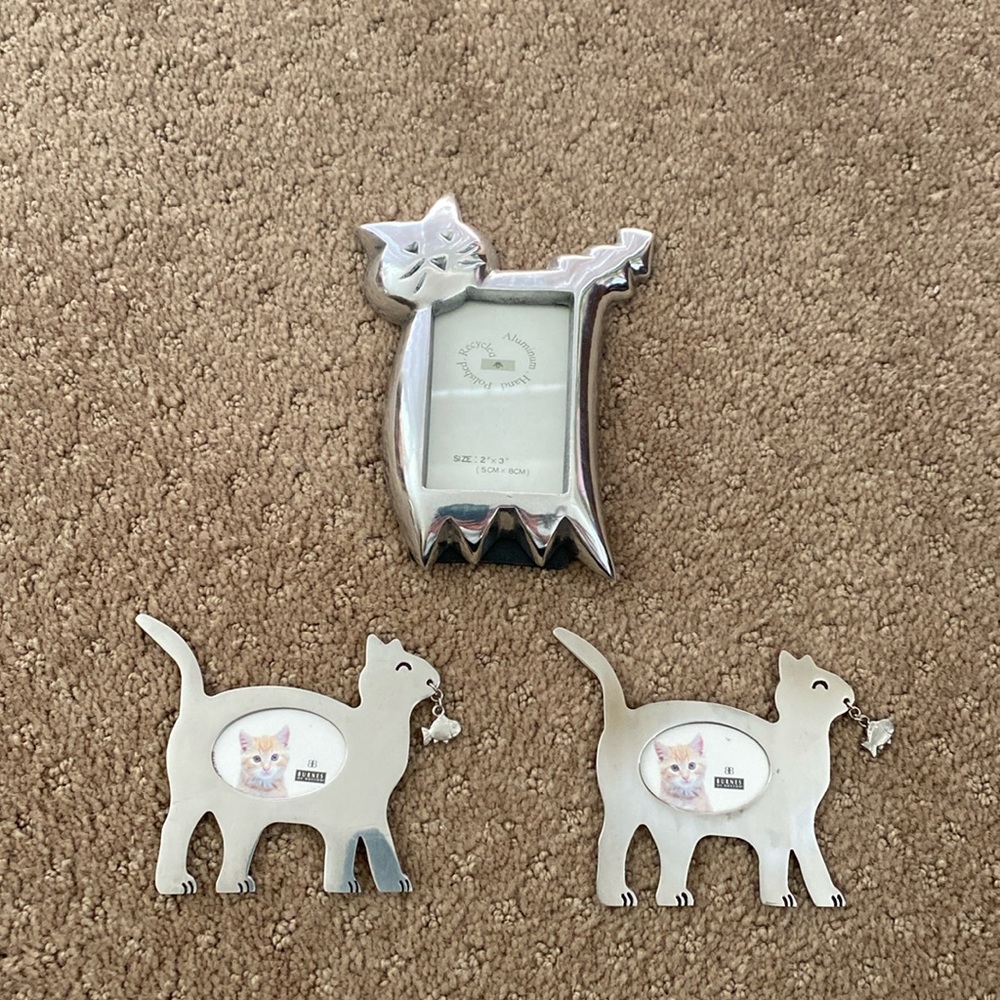 Cat Collection- 1 - 2 x 3 Aluminum Picture Frame and 2 - Magnets to add a photo